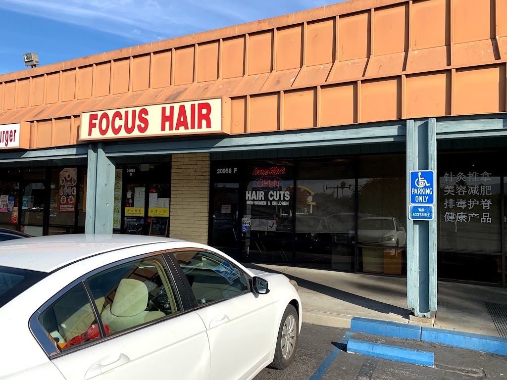 Focus Hair | 20956 W Homestead Rd Suite F, Cupertino, CA 95014, USA | Phone: (408) 446-4247
