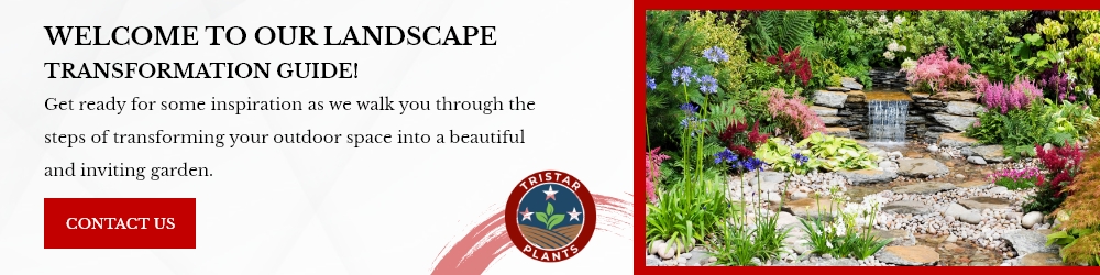 Tristar Plants | 6675 Old Smithville Hwy S, Sparta, TN 38583, United States | Phone: (931) 761-7611