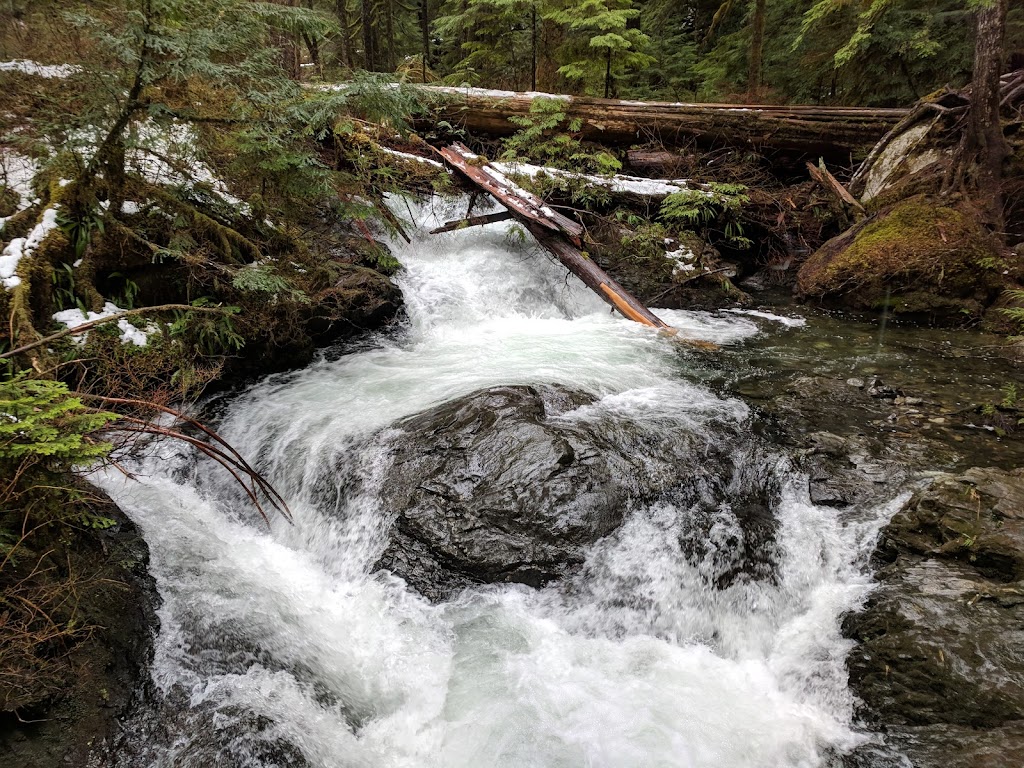 Mount Pilchuck State Park | Granite Falls, WA 98252, USA | Phone: (360) 902-8844