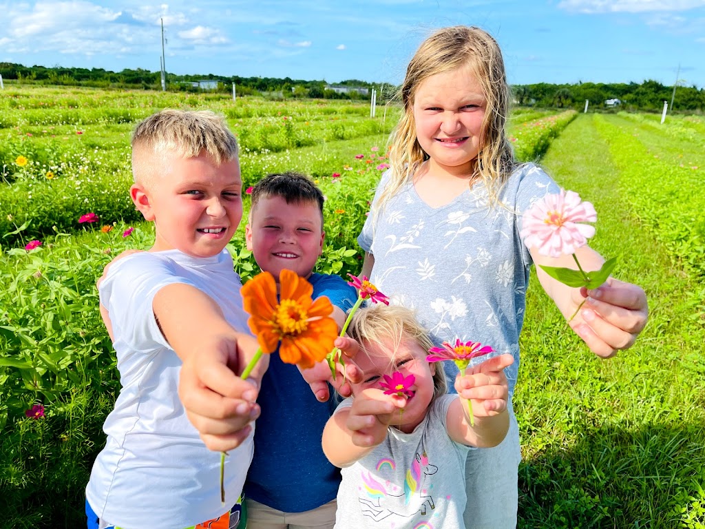 Ever After Farms Fall Festival and U-Pick Peaches & Flowers | 4455 Dixie Way, Mims, FL 32754, USA | Phone: (321) 269-9502