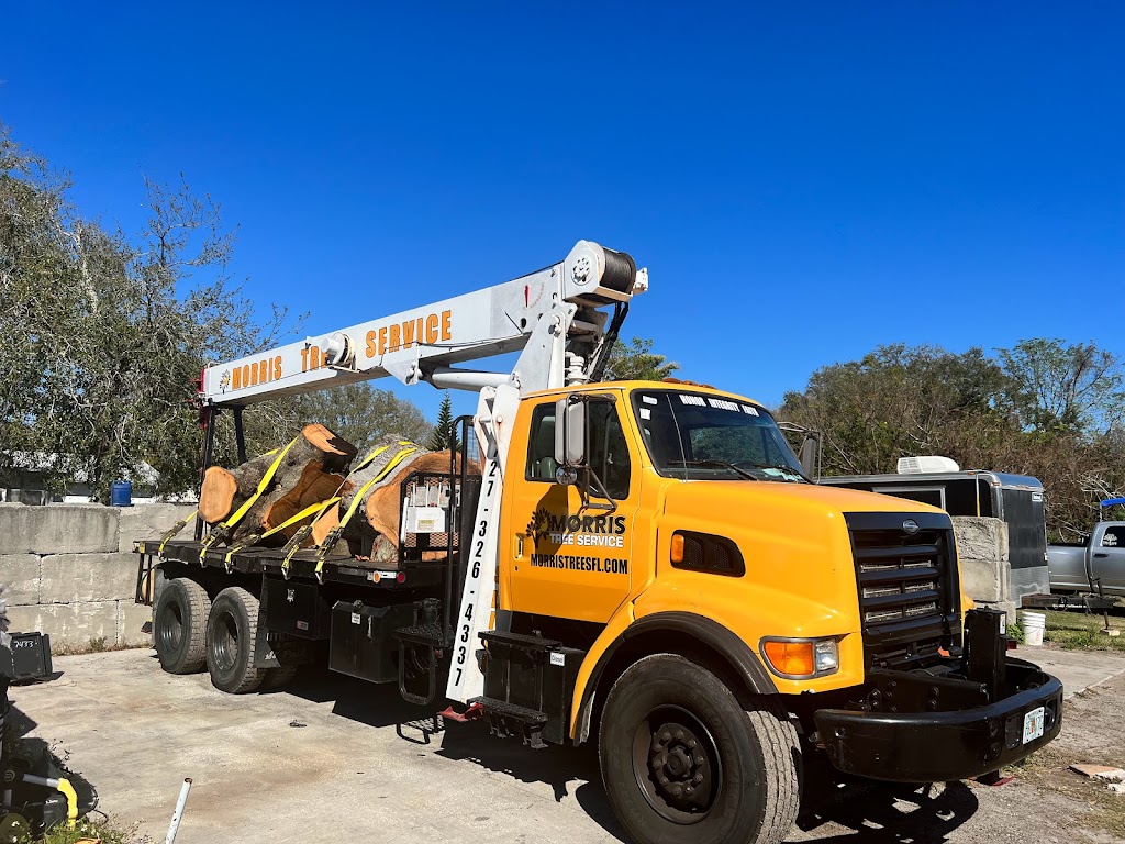 Morris Tree Service | 5532 Auld Ln #2, Holiday, FL 34690, USA | Phone: (727) 326-4337