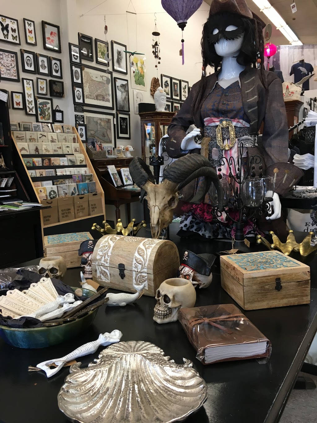 Crows Curiosities | 120 Harrison Ave, Port Orchard, WA 98366, USA | Phone: (360) 504-8187