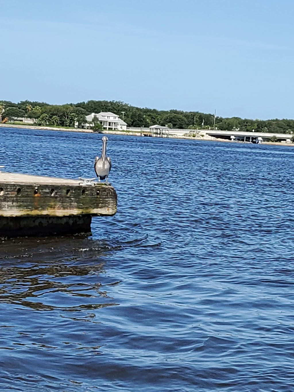 Airboat Rides Near Me/Crazy Fish Airboat Tours | 4852 Ocean St, Atlantic Beach, FL 32233, USA | Phone: (904) 495-4200