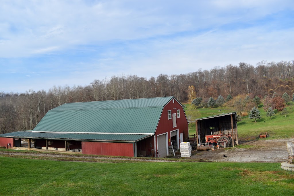 Coyne Family Farm LLC | 155 Atlas Cherry Valley Rd, Burgettstown, PA 15021, USA | Phone: (724) 344-7992