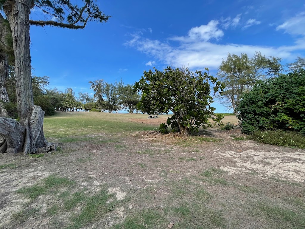 Mokuauia Islet Seabird Sanctuary | Laie, HI 96762 | Phone: (808) 587-0400