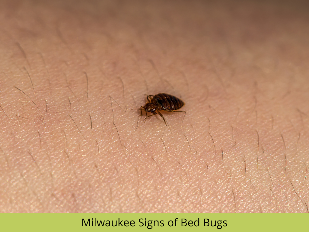 Nexus Pest Solutions | 11512 N Port Washington Rd STE 206, Mequon, WI 53092, USA | Phone: (262) 501-8030