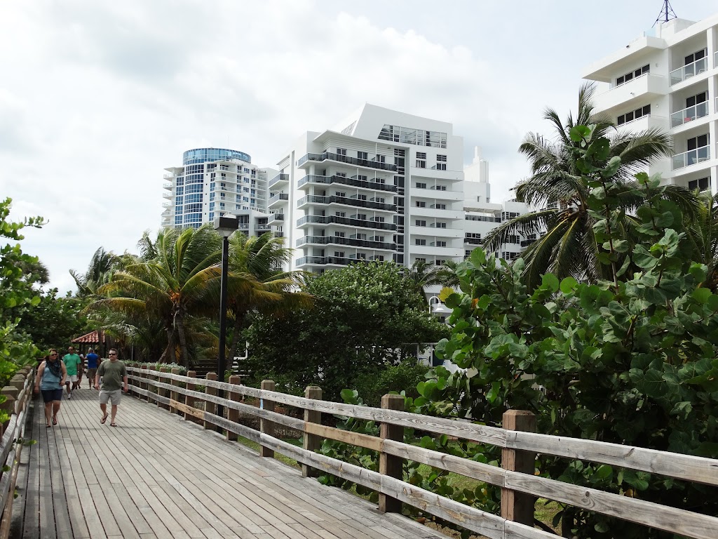 Studio in Front of the Beach | 6345 Collins Ave, Miami Beach, FL 33141, USA | Phone: 653 39 03 17