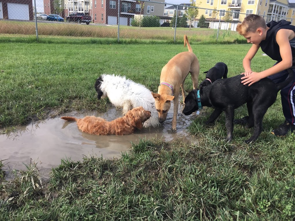 Canton Dog Park | N Denton Rd, Canton, MI 48188, USA | Phone: (734) 394-5310