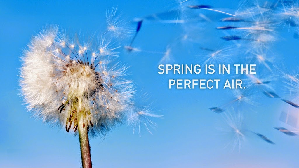 Advanced Filter & Mechanical Inc. | 910 Valley Ave NW #104, Puyallup, WA 98371, USA | Phone: (253) 770-2440