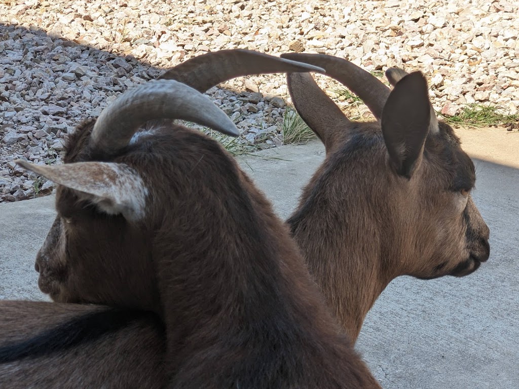 Austin Equine Hospital | 20640 Ranch to Market Rd 150, Driftwood, TX 78619, USA | Phone: (512) 858-0058