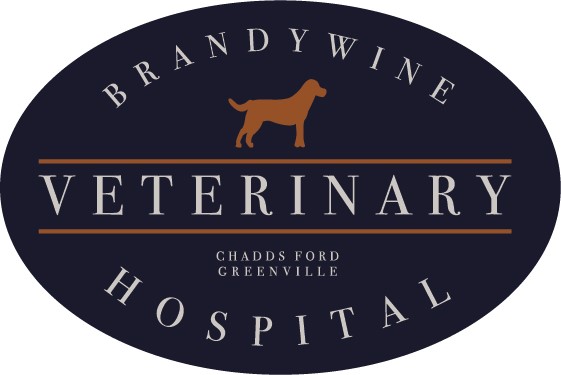 Brandywine Veterinary Hospital - Greenville | 3848-B Kennett Pike, Greenville, DE 19807, USA | Phone: (302) 476-8779