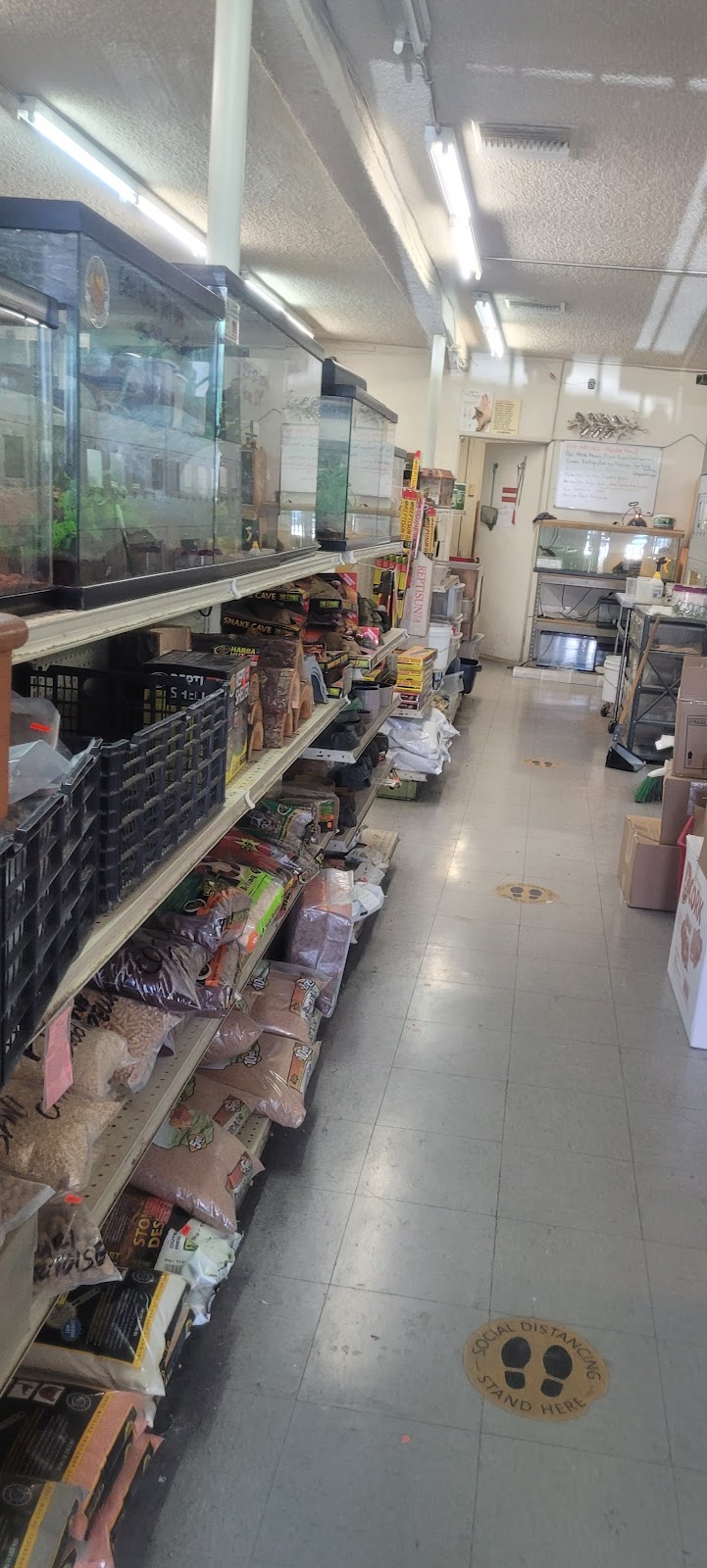 La Habra Exotic Pets | 1919 W La Habra Blvd, La Habra, CA 90631, USA | Phone: (562) 697-7110