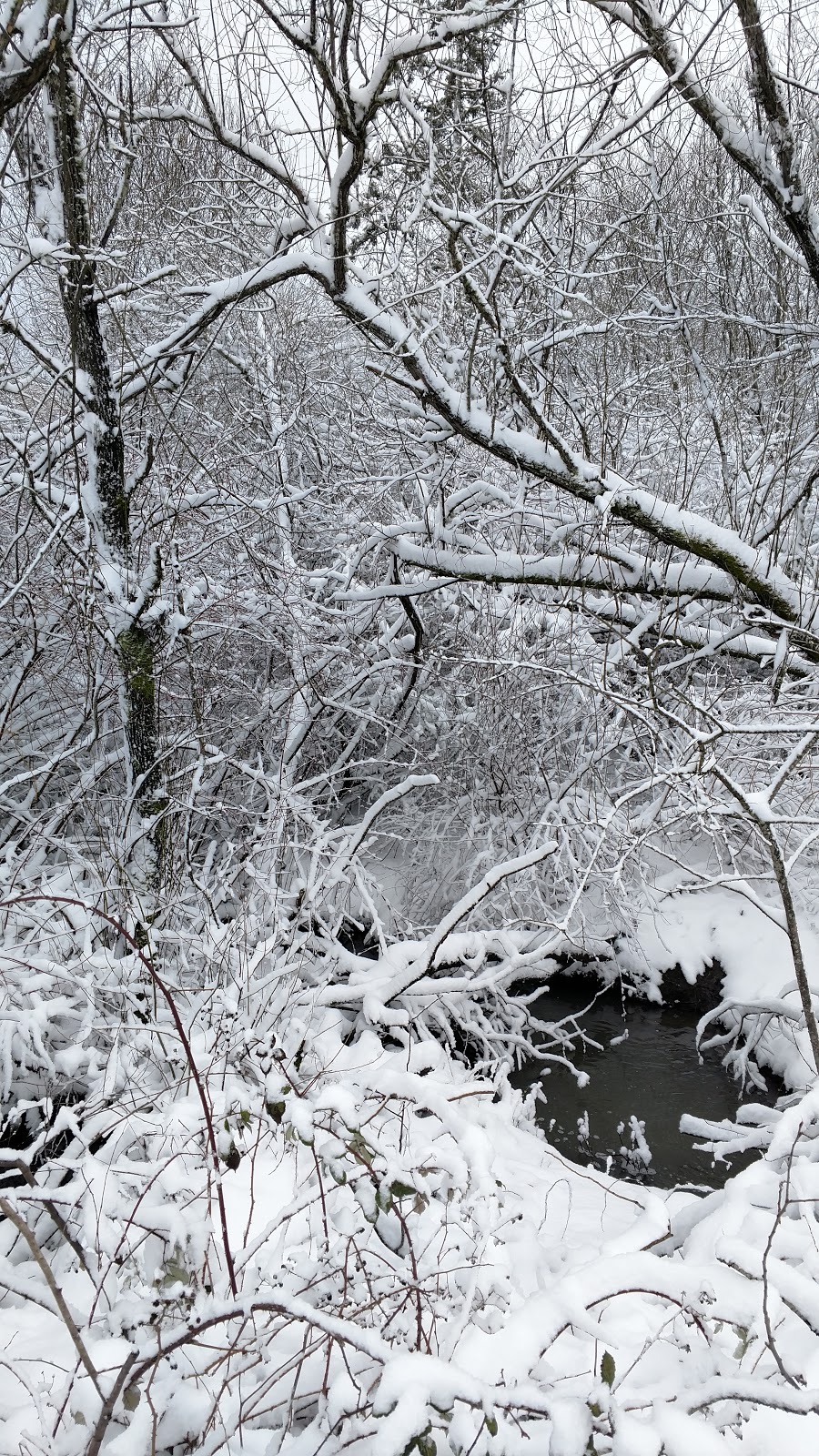 Davids Windsor Wetlands Natural Area | 12512 SW Sheldrake Way, Beaverton, OR 97007, USA | Phone: (503) 645-6433
