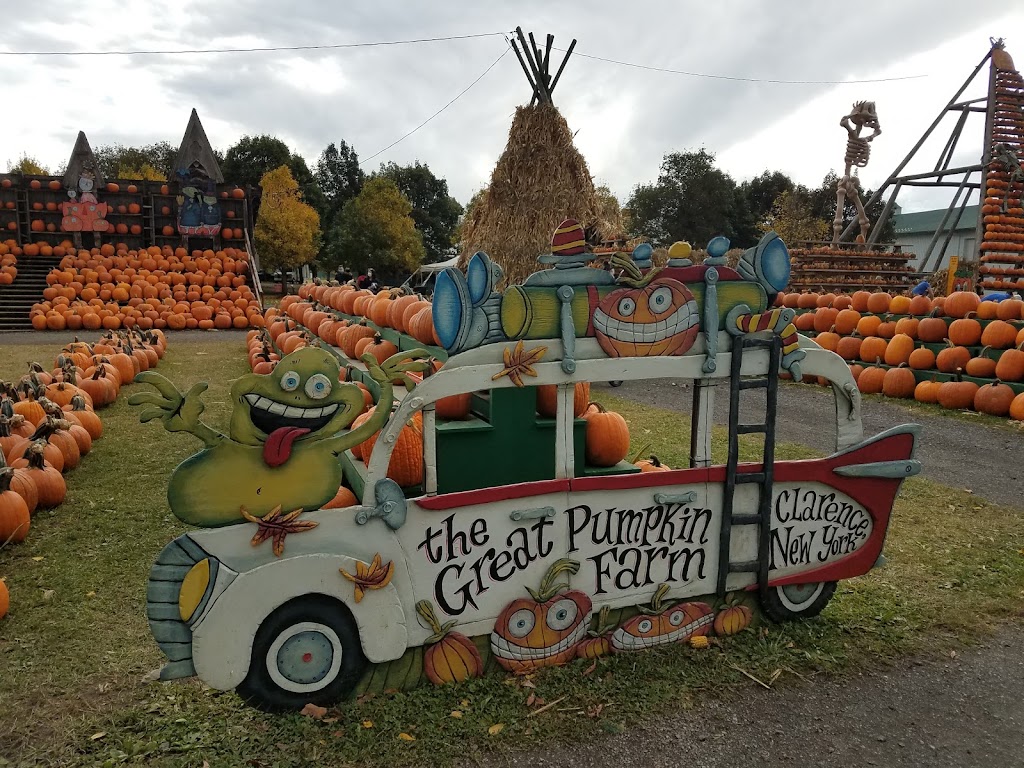 Great Pumpkin Farm | 11199 Main St, Clarence, NY 14031, USA | Phone: (716) 759-1929