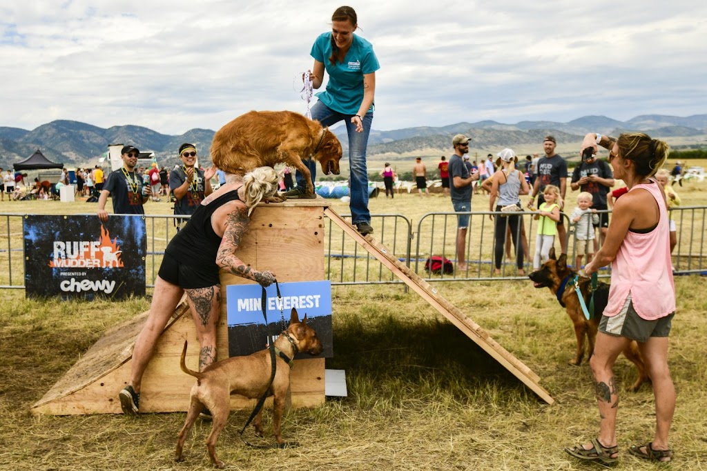 The Small Animal Clinic at Colorado Equine | 9616 W Titan Rd, Littleton, CO 80125, USA | Phone: (303) 791-0195