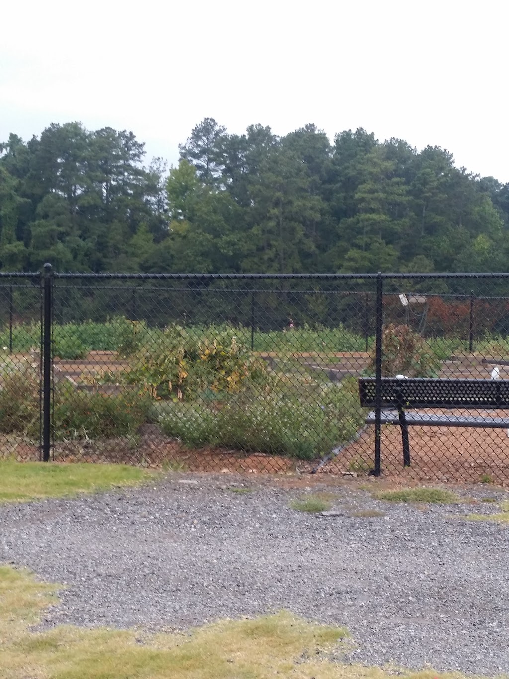 Community Garden | 5645 Mason Rd, College Park, GA 30349, USA | Phone: (877) 275-2242