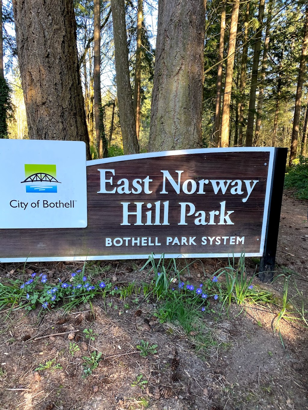 East Norway Hill Park | 11920 NE 155th St, Bothell, WA 98011, USA | Phone: (425) 806-6760