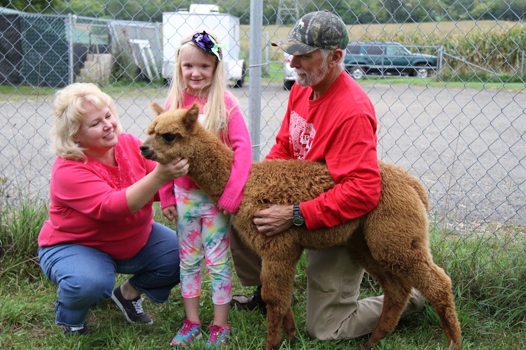 Greenbriar Farm Alpaca - MAM Consulting Associates Inc. | W237S4344 Big Bend Rd, Waukesha, WI 53189, USA | Phone: (262) 970-9633