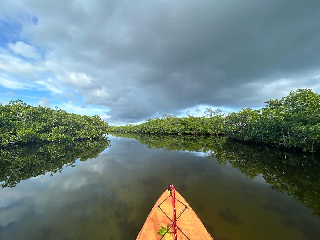 Pennekamp Canoe and Paddleboard Rentals | 102601 Overseas Hwy, Key Largo, FL 33037, USA | Phone: (305) 451-6300