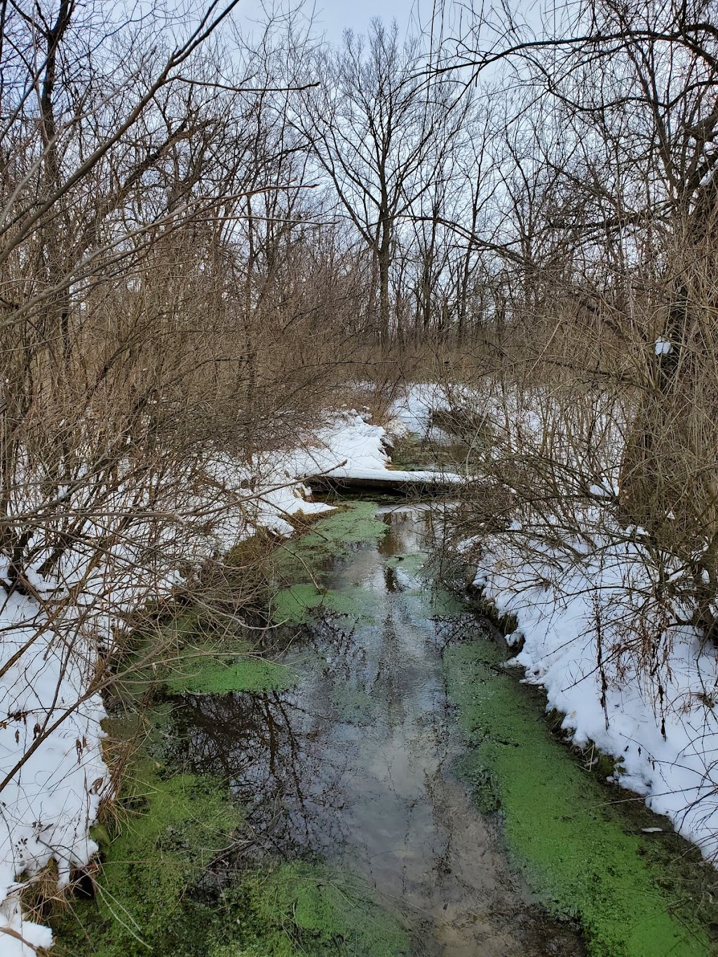 Cadiz Springs State Recreation Area | N2241 Cadiz Springs Rd, Browntown, WI 53522, USA | Phone: (608) 966-3777