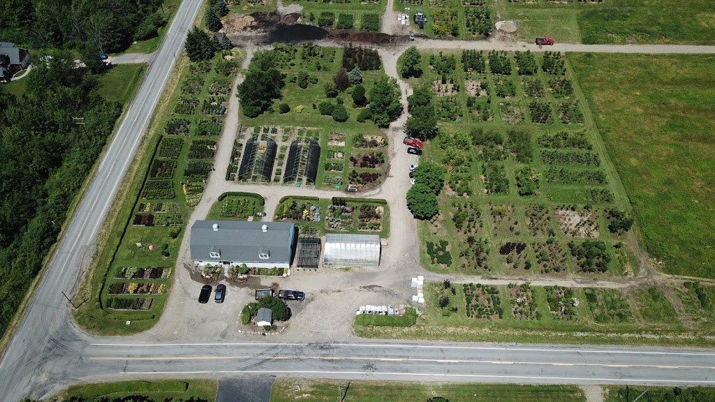 Boston Hill Nursery, Inc. | 7421 Old Lower East Hill Rd, Colden, NY 14033, USA | Phone: (716) 662-7411