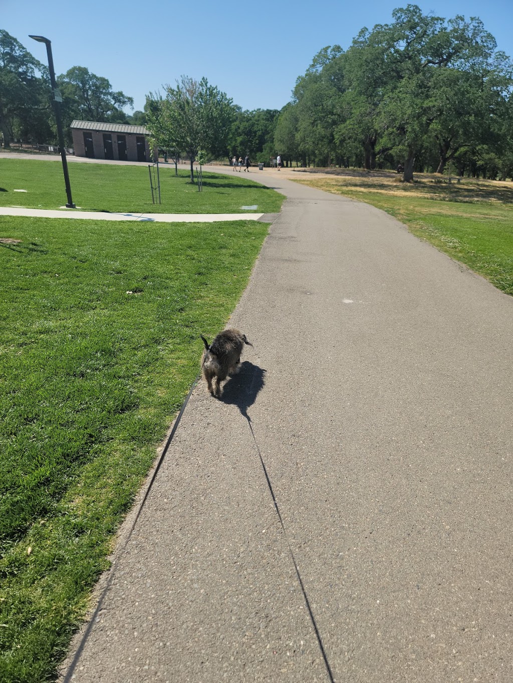 RRUFF Dog Park | 5480 5th St, Rocklin, CA 95677 | Phone: (415) 806-2778