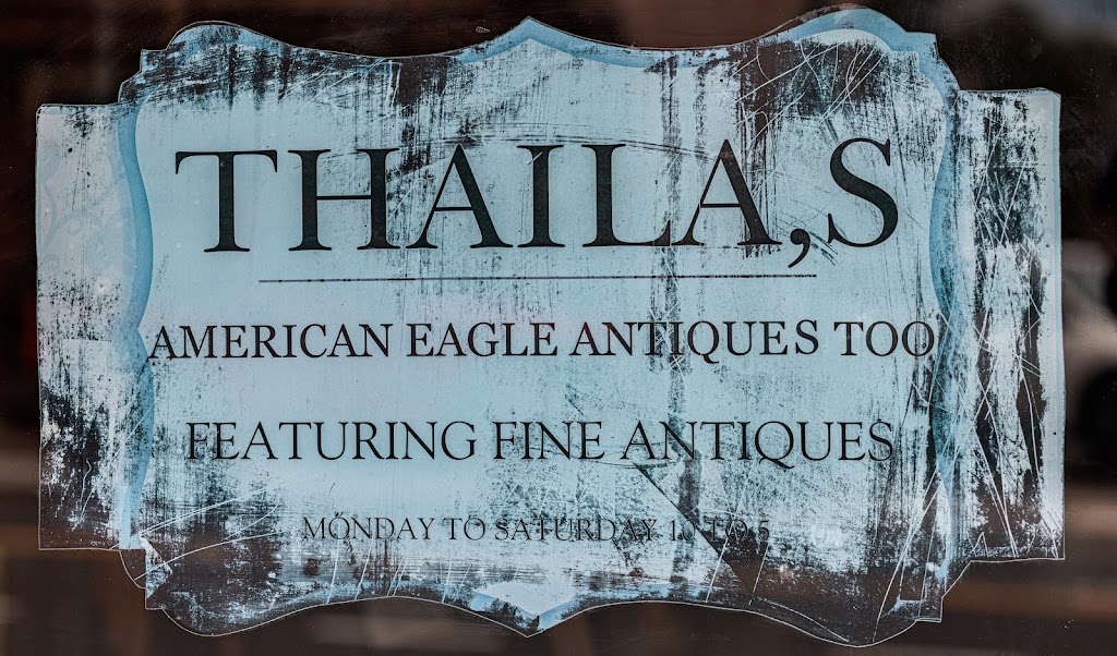 Thailas American Eagle Antiques, Too | 14119 7th St, Dade City, FL 33525, USA | Phone: (352) 521-0390