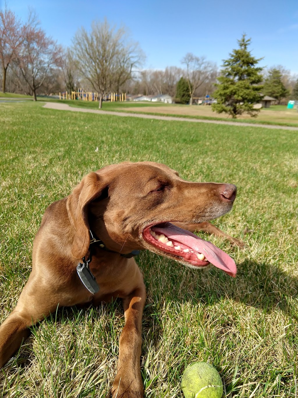 Liberty Park with Dog Park | Liberty Park, New Hope, MN 55428, USA | Phone: (763) 531-5100