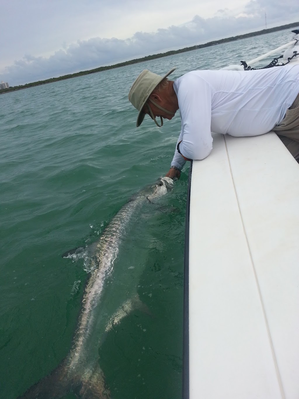 Florida Native Charters | 4000 Crandon Blvd, Key Biscayne, FL 33149, USA | Phone: (954) 536-6646