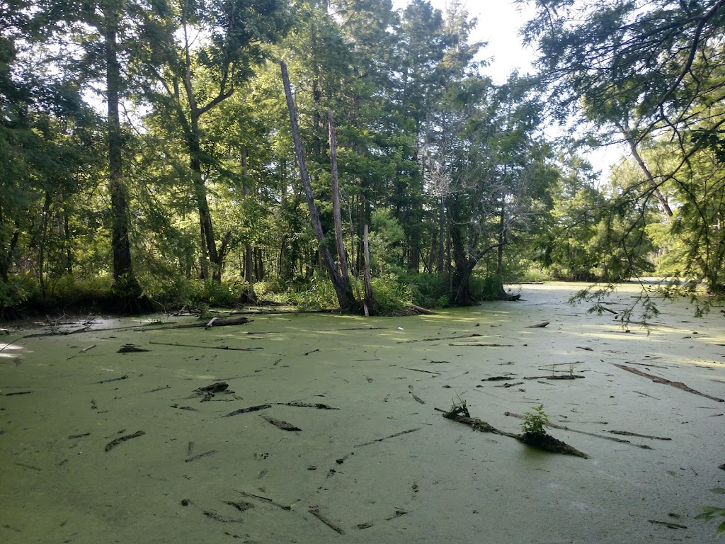 Atchafalaya National Wildlife Refuge | highway 190 & interstate 10, Lottie, LA 70756, USA | Phone: (985) 882-2000