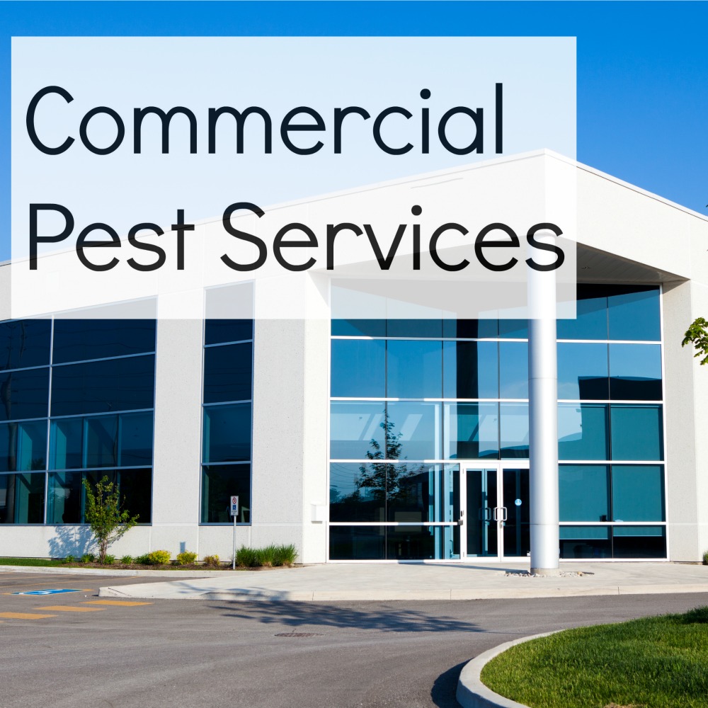 Allstate Termite & Pest Solutions - Tulsa | 2081 S 71st E Ave, Tulsa, OK 74112, USA | Phone: (918) 236-1925