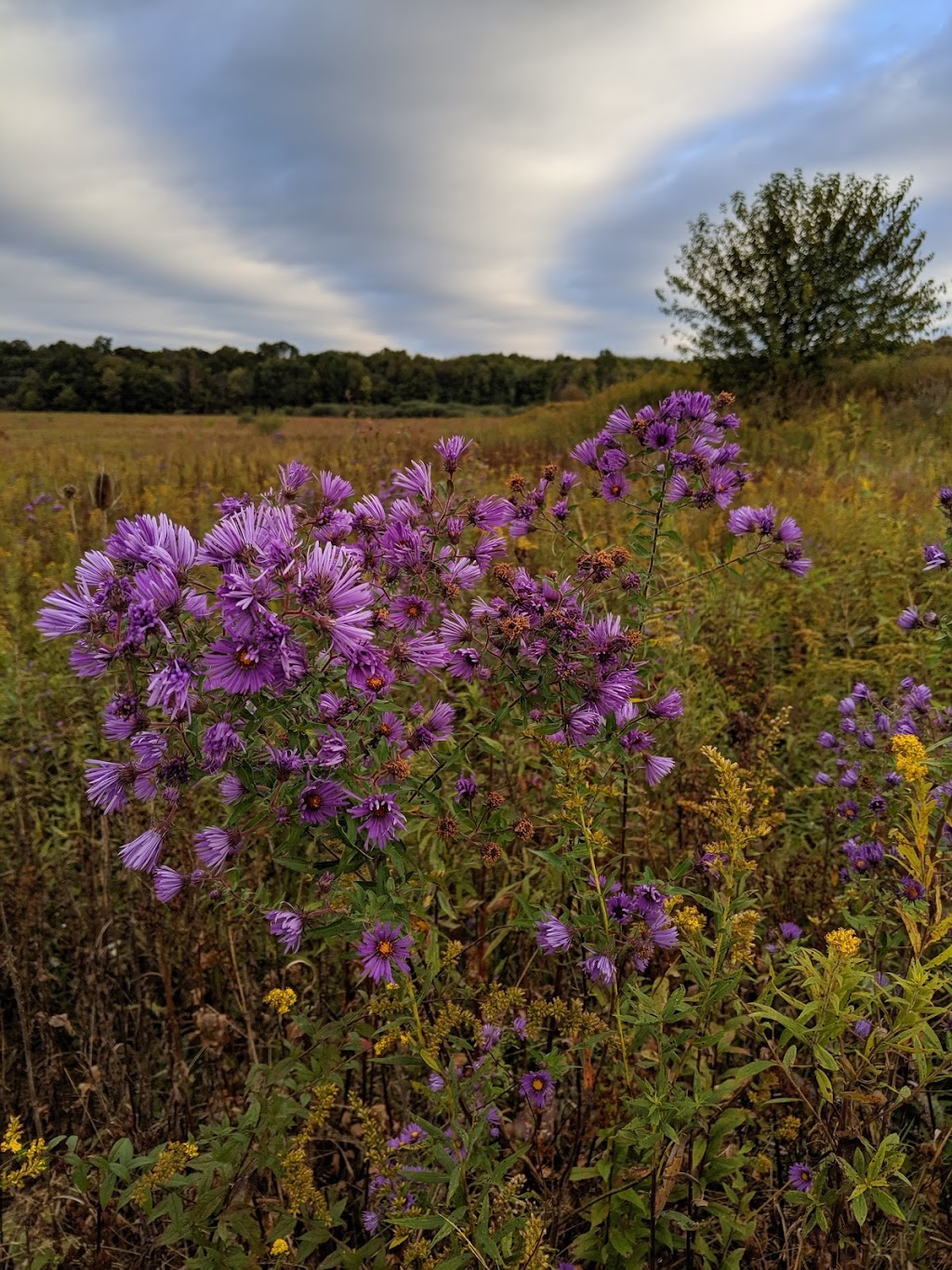 Frohring Meadows | 16780 Savage Rd, Chagrin Falls, OH 44023, USA | Phone: (440) 286-9516