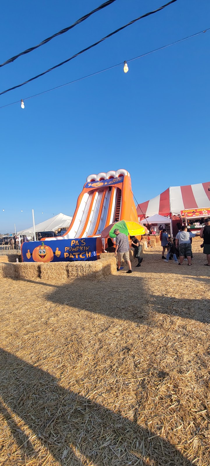 Pas Pumpkin Patch | 6701 CA-1, Long Beach, CA 90803, USA | Phone: (562) 912-0781