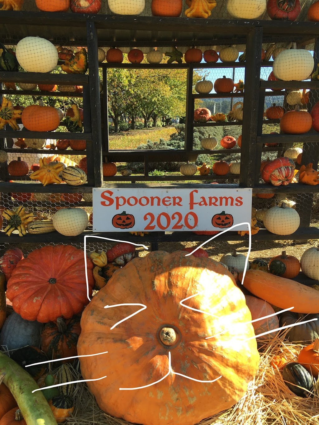 Spooner Farms in Puyallup | 9710 WA-162 E, Puyallup, WA 98374, USA | Phone: (253) 840-2059