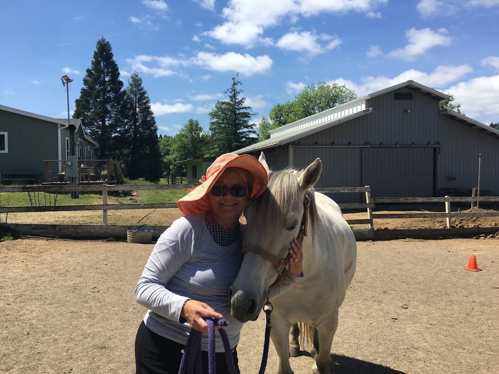 Healing Horse Therapy | 30608 NE Mc Bride Rd #1, Battle Ground, WA 98604, USA | Phone: (360) 798-2669