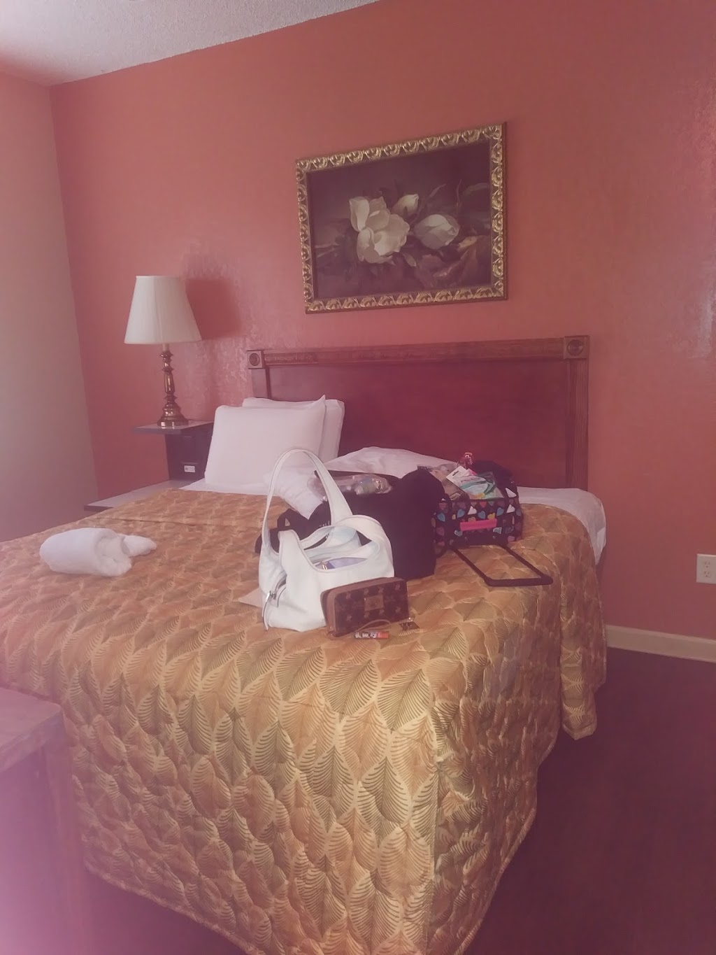 Hyde Park Hotel | 2105 W Bristol Ave, Tampa, FL 33606, USA | Phone: (813) 254-2000