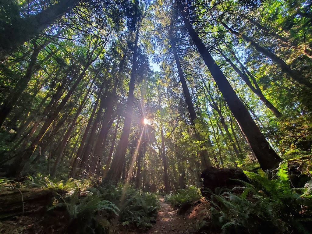 Tiger Mountain State Forest | Issaquah, WA 98027, USA | Phone: (360) 902-1375