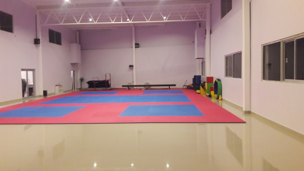 Tae Kwon Do | Ejército Nacional 11170, Senecu, Cd Juárez, Chih., Mexico | Phone: 656 379 9062