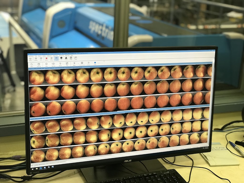 Prima Frutta | 16461 Comstock Rd, Linden, CA 95236, USA | Phone: (209) 931-1460