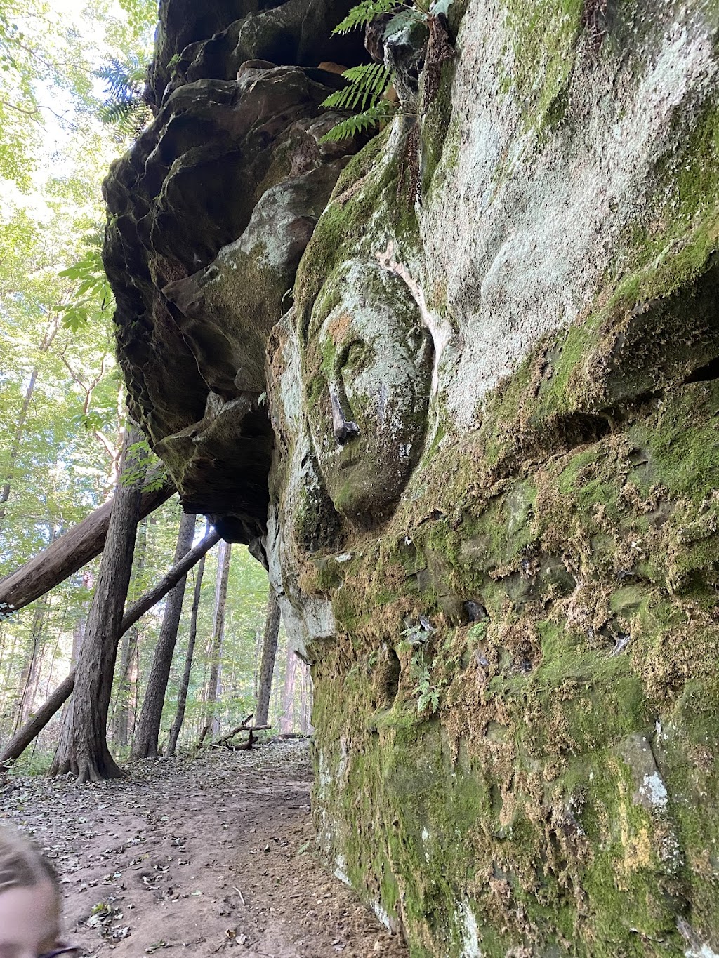 Wordens Ledges | Wordens Ledges Loop Trail, Hinckley, OH 44233, USA | Phone: (216) 635-3200