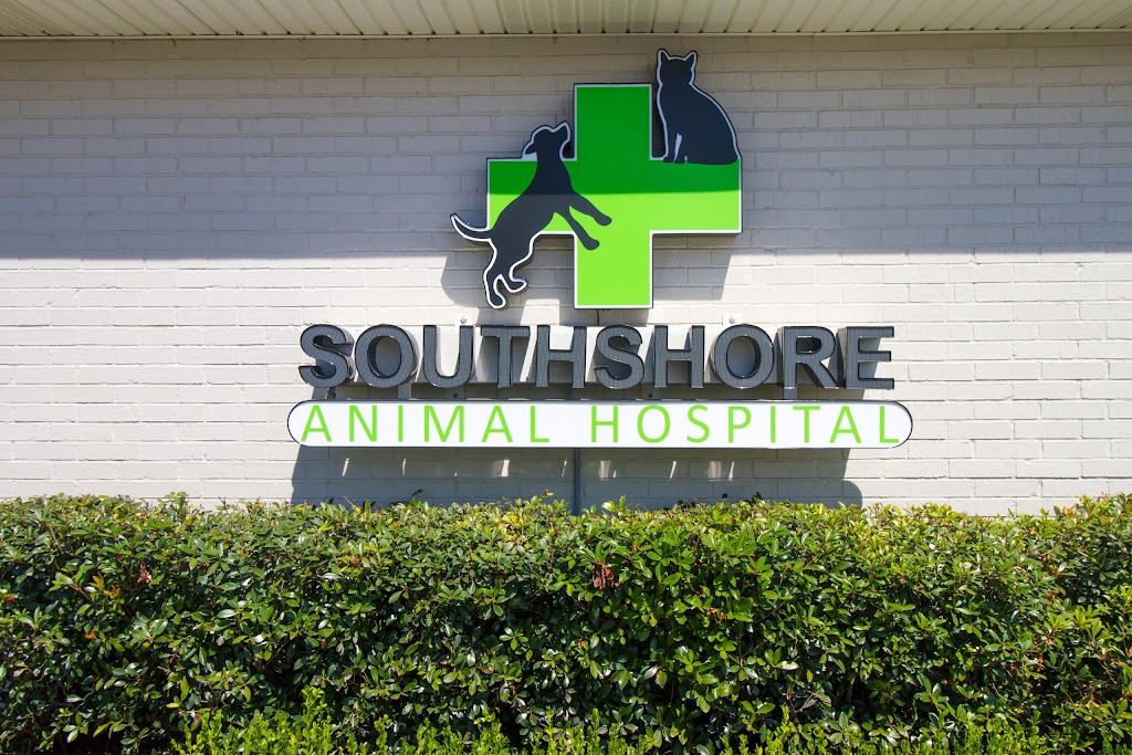 Southshore Animal Hospital | 213 Live Oak St, Metairie, LA 70005, USA | Phone: (504) 831-7724