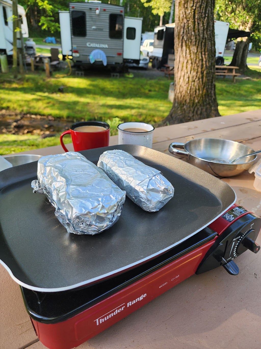 Ararat River Campground | 101 Pioneer Camp Ln, Pinnacle, NC 27043, USA | Phone: (336) 607-4744