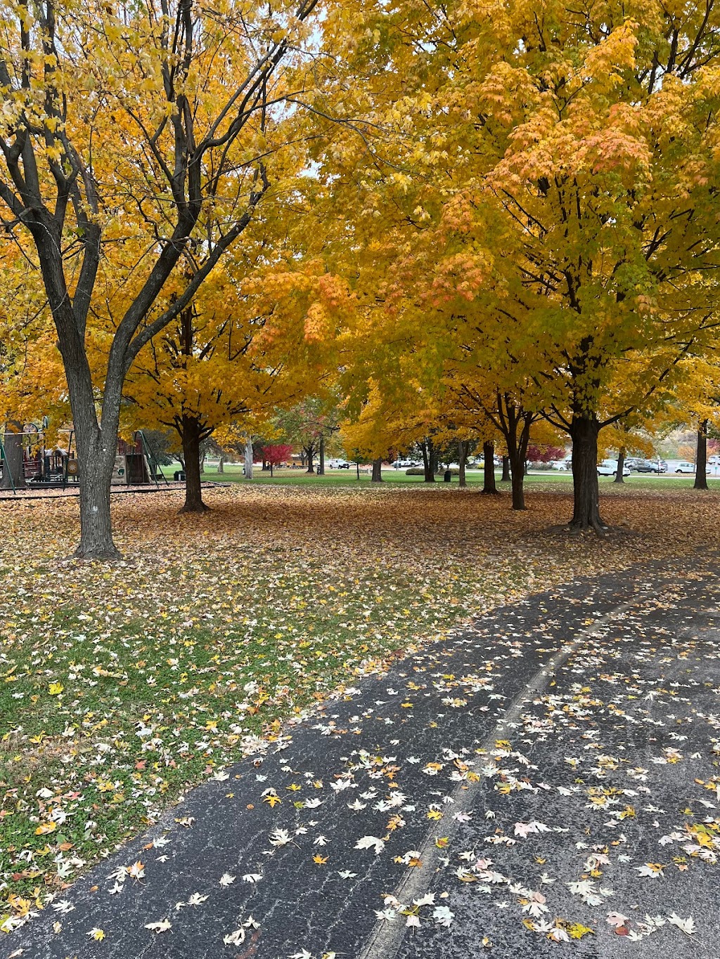 Stacy Park Playground | 9750 Old Bonhomme Rd, Olivette, MO 63132, USA | Phone: (314) 993-0444