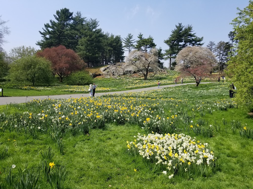 Everett Garden Gate, NYBG | Bronx Park Rd, The Bronx, NY 10458, USA | Phone: (718) 817-8140