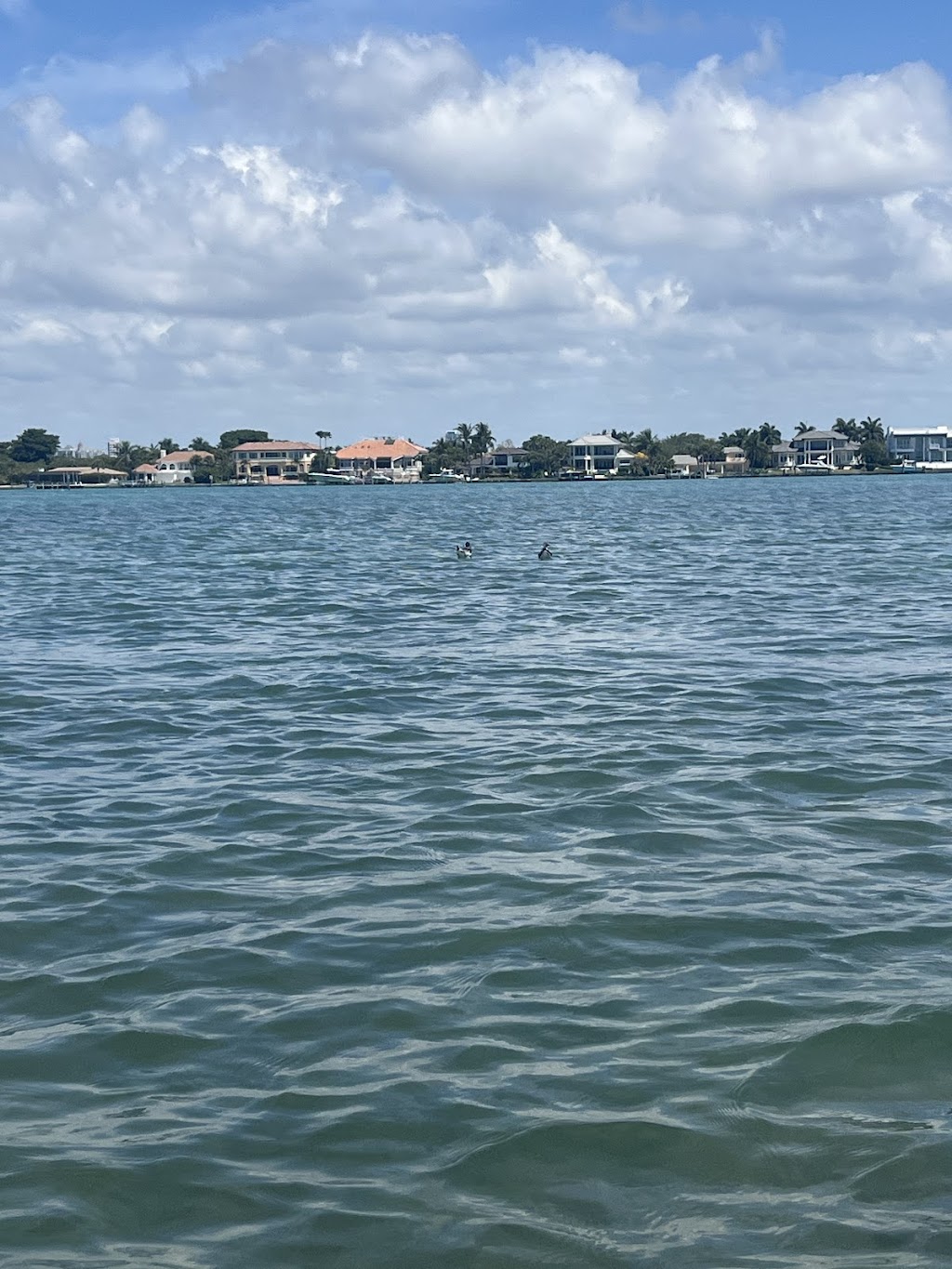 Kayaking SRQ | 190 Taft Dr, Sarasota, FL 34236, USA | Phone: (941) 799-1863