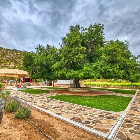 Dulce Vida by Solar Fortun | Unnamed Road, 22760 Francisco Zarco, B.C., Mexico | Phone: 646 116 7235