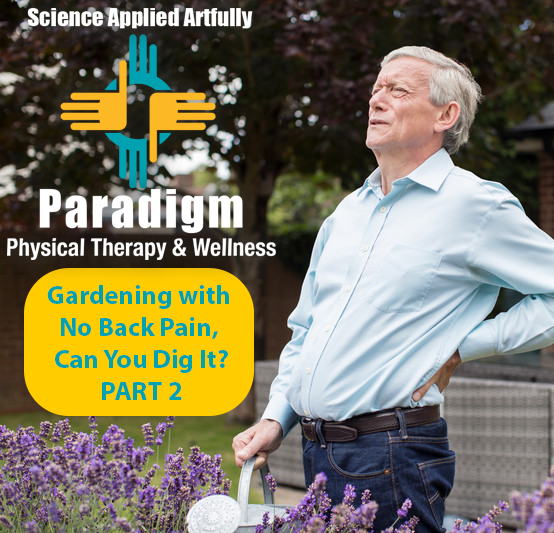 Paradigm Physical Therapy & Wellness - Belen, NM | 1220 Camino Del Llano, Belen, NM 87002, USA | Phone: (505) 861-1200