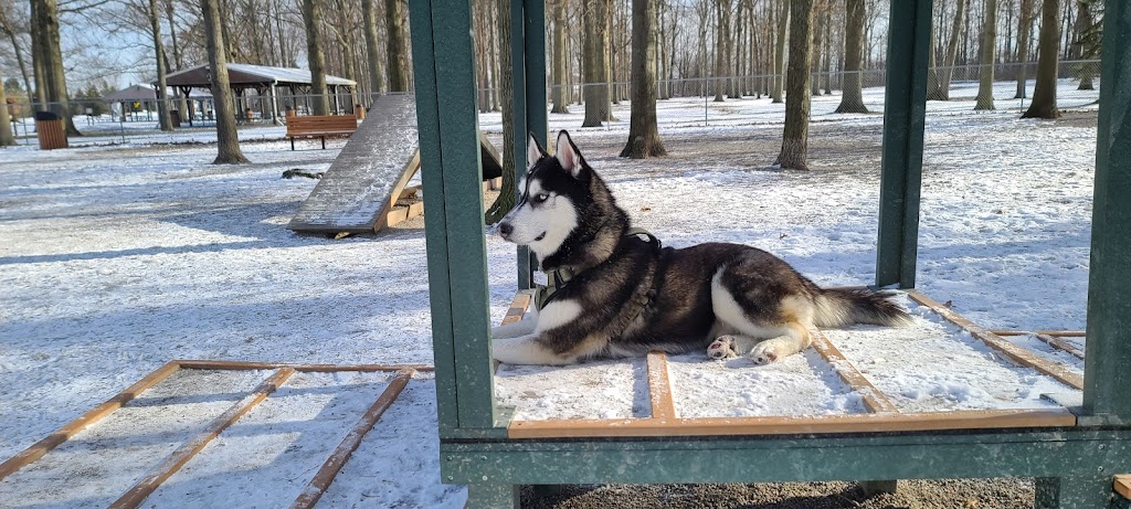 Avon Lake Dog Park | 33401 Webber Rd, Avon Lake, OH 44012, USA | Phone: (440) 933-6141