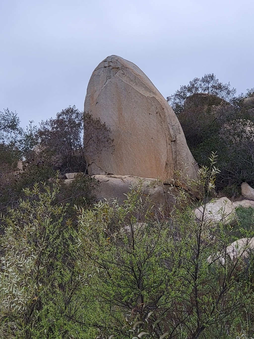 Splitrock Farm | 39032 Harris Trl, Fallbrook, CA 92028 | Phone: (760) 884-0432