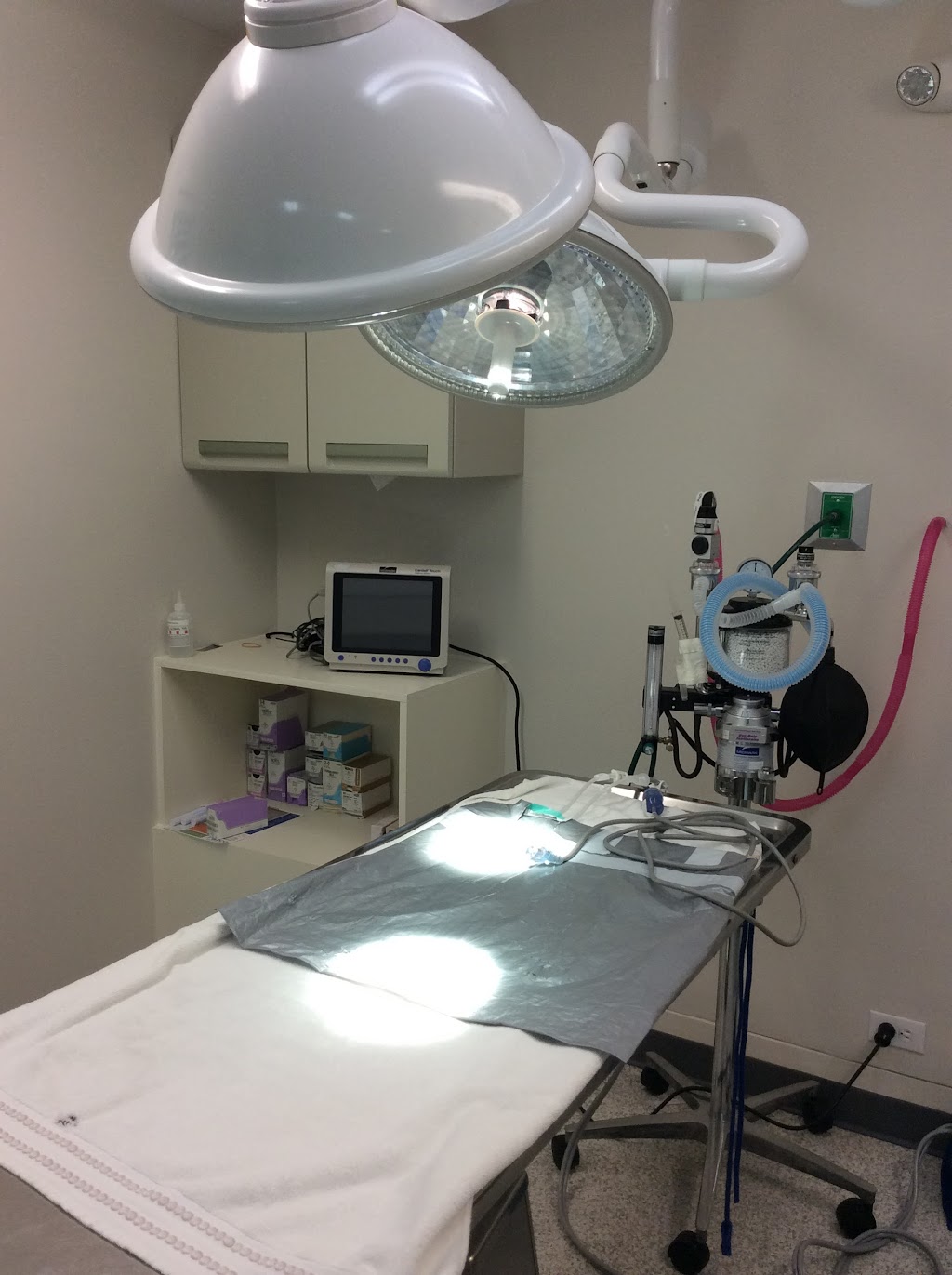 Blue Cross Animal Hospital | 530 E Putnam Ave, Greenwich, CT 06830, USA | Phone: (203) 869-7755